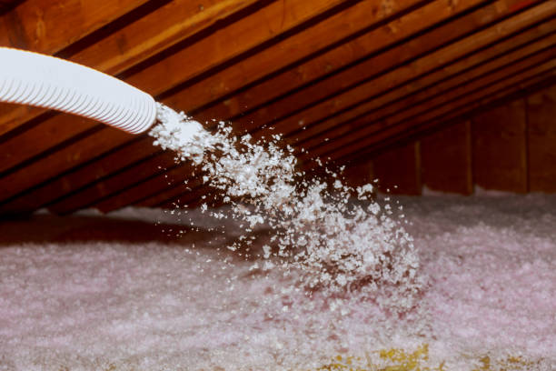 Best Eco-Friendly Insulation in North Ballston Spa, NY